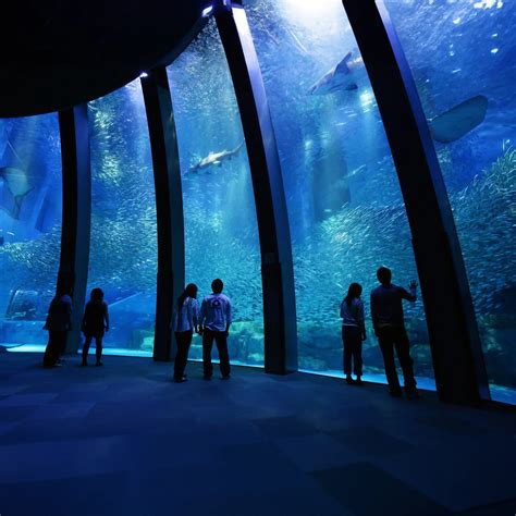 Hakkeijima Sea Paradise Aquarium: Adventure in Yokohama - ROPPONGI