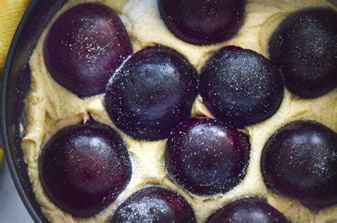 New York Time S Original Plum Torte A For Appetite