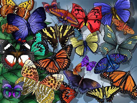 Butterflies Art Wallpaper Butterfly Wallpaper Butterfly Background