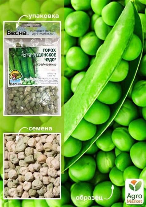 Горох "Кельведонське диво" (Зипер) ТМ "Весна" 30г купити поштою в Одесі ...