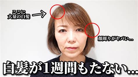 【白髪ぼかしハイライト】顔周りの白髪がすぐに気になるどう対処する？ Youtube