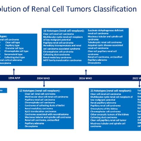 Flow Diagram Showing The Evolution Of The Classification Of Renal Cell Download Scientific