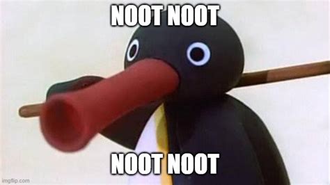 noot noot Memes & GIFs - Imgflip