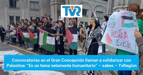 Convocatorias En El Gran Concepci N Llaman A Solidarizar Con Palestina