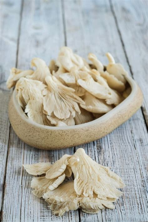 Oyster Mushroom Substitutes 6 Great Options With Ratios