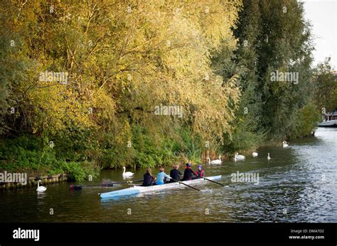 Cambridge Rowers Hi Res Stock Photography And Images Alamy