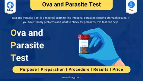 Ova And Parasite Test Purpose Price Procedure And Results Drlogy