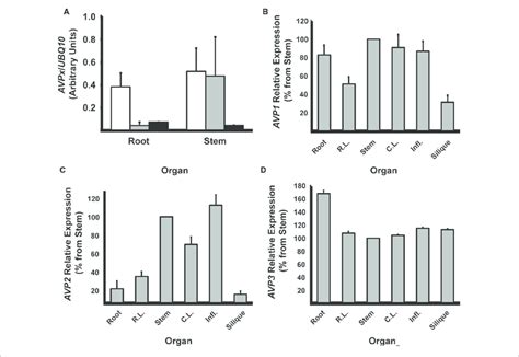 Relative Expression Of The Different H Ppase Isoforms A