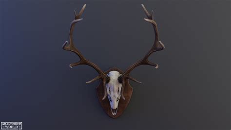 Deer Skull