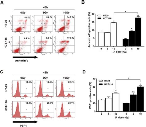 Radiation Sensitivity In Two Colon Cancer Cell Lines Of Hct 116 And