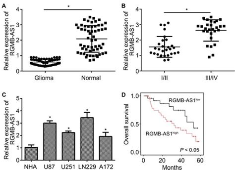 Full Article LncRNA RGMB AS1 Promotes Glioma Growth And Invasion