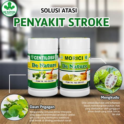 Jual OBAT LUMPUH RINGAN STRUK DE NATURE Obat Stroke Obat Struk Ringan