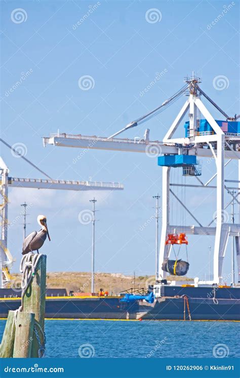 Industrial Work Port Job Stock Photo Image Of Cargo