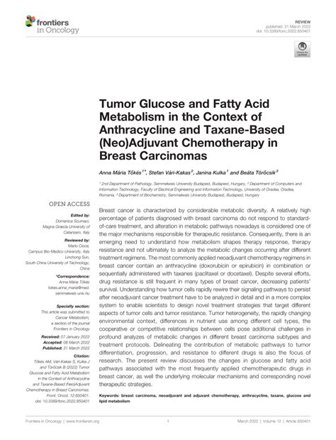 Pdf Tumor Glucose And Fatty Acid Metabolism In The Context Of