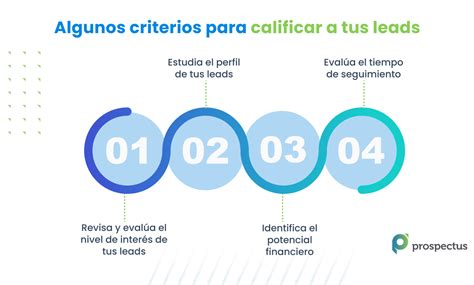 Tips Para Calificar A Tus Leadsqu Son Los Leads Y C Mo Calificarlos