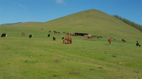 Orkhon Valley Arkhangai Province 2020 All You Need To Know Before You Go With Photos