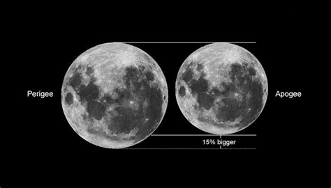 A Beginners Guide To The Moon Abc News