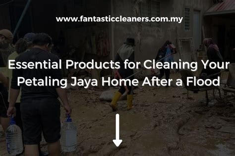 Products For Cleaning Your Petaling Jaya Home After A Flood