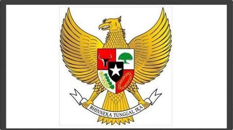 Lengkap Rincian Jumlah Bulu Yang Ada Pada Burung Garuda Pancasila