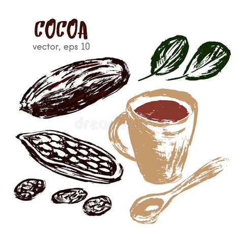 Sketched Illustration of Cocoa Bean. Stock Vector - Illustration of ...