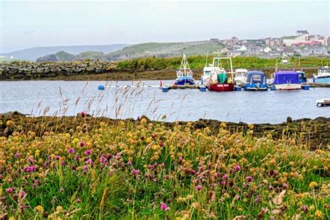 130+ Shetland Islands Ferry Scotland Transportation Stock Photos ...