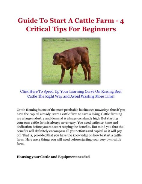 Guide To Start A Cattle Farm - 4 Critical Tips For Beginners