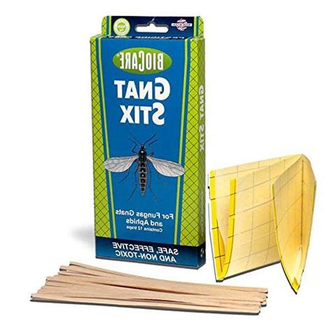 Biocare Gnat Stix Indoor Traps For Fungus Gnats