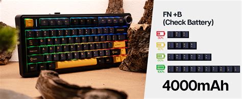EPOMAKER X AULA F75 Gasket Mechanical Keyboard 75 Wireless Hot Swappable Gaming Keyboard With