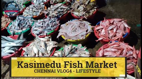 Kasimedu Fish Market Tamil Largest Fish Market In Chennai Kasimedu