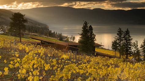 Ten Wineries And Tasting Pavilions From The United States And Canada