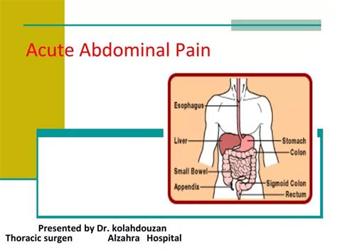 Ppt Acute Abdominal Pain Powerpoint Presentation Free Download Id