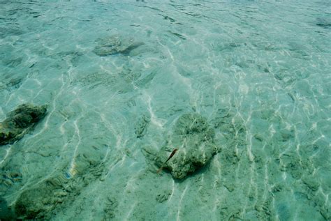 Free Images Sea Nature Ocean Wet Motion Clear Underwater Fresh