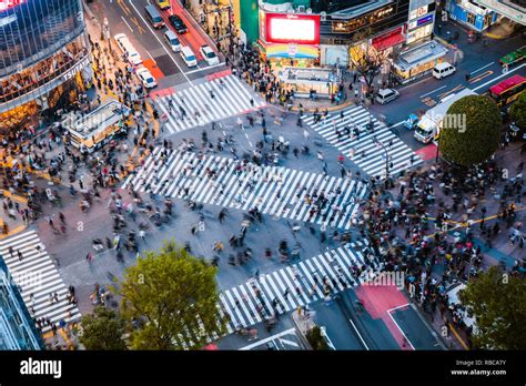 Elevated View Of Famous Shibuya Pedestrian Crossing Tokyo Japan Stock