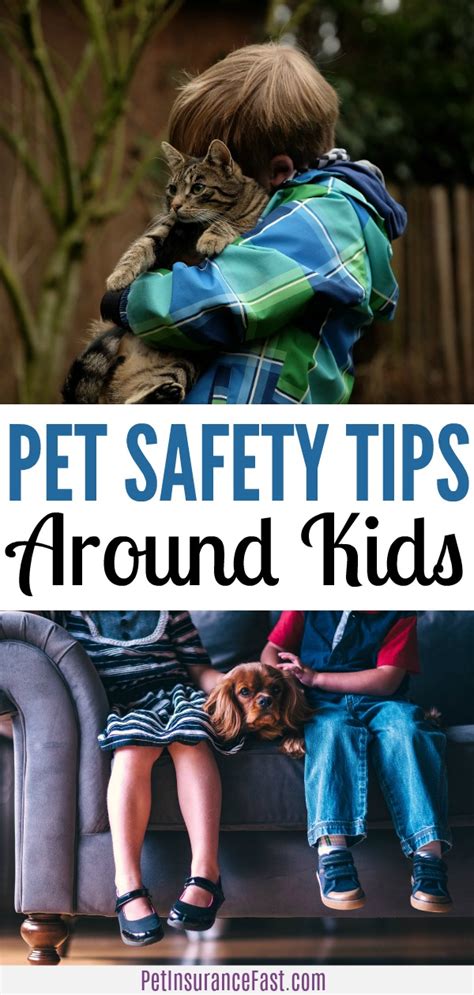 Pet Safety Around Kids: Try These Helpful Tips! - Pet Insurance Fast