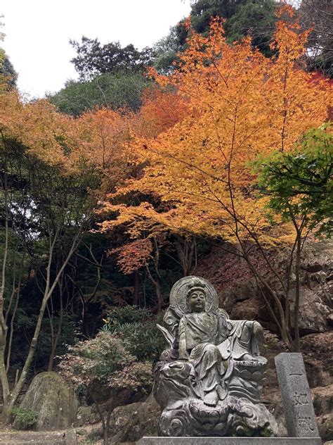 四国八十八ヶ所 58番札所 仙遊寺 最 Koyunisoさんのモーメント Yamap ヤマップ