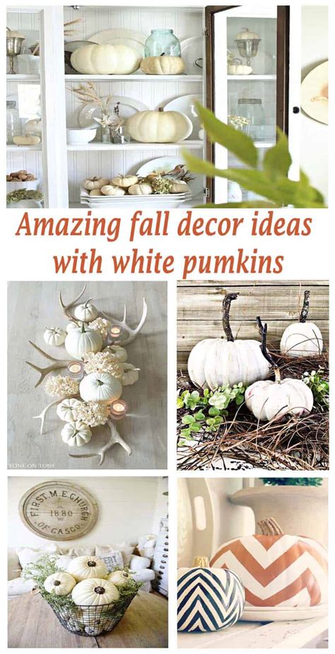 Amazing Fall Decorating Ideas Using White Pumpkins