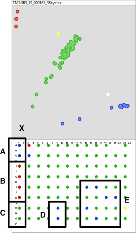 Kasp Genotyping Of Marker Uccg A Quadrant Of A Well