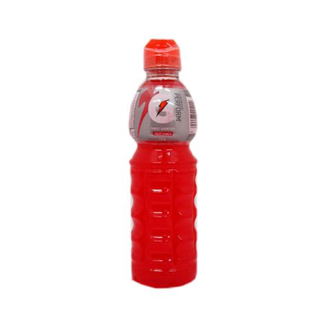 Gatorade Fruit Punch - CharlottePantry.com