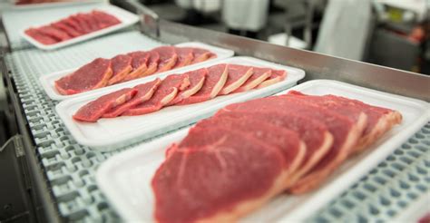 Segurança alimentar no processamento de carnes Quais medidas adotar