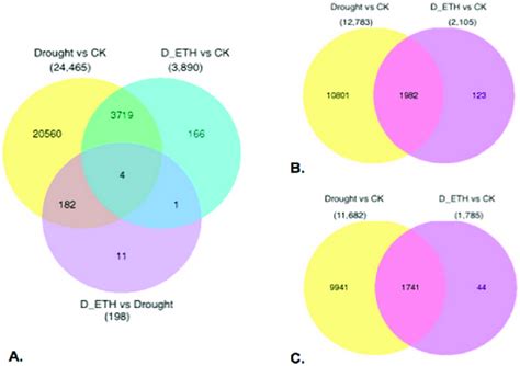 A Venn Diagram For All Differentially Expressed Genes Degs In