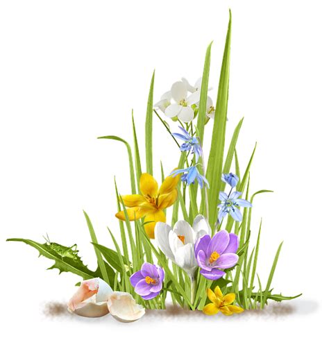 Spring Png Images Spring Flowers Transparent Background Free