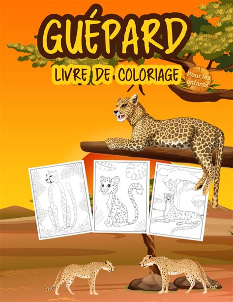 Buy Guépard Livre De Coloriage Pour Les Enfants Grand Livre Sur Le