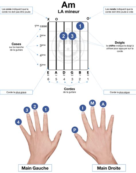 Comment Lire Un Diagramme D Accord Myguitare Apprendre La Guitare