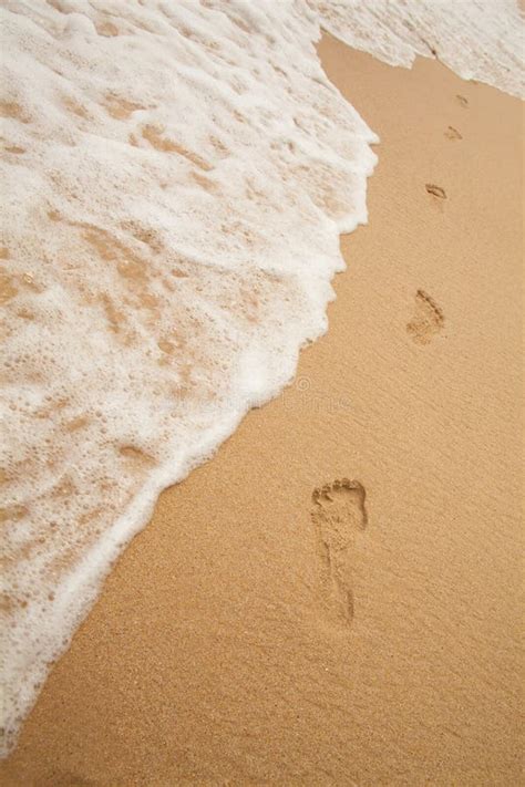 Pegadas Na Areia Da Praia Do Oceano Foto De Stock Imagem De Menina