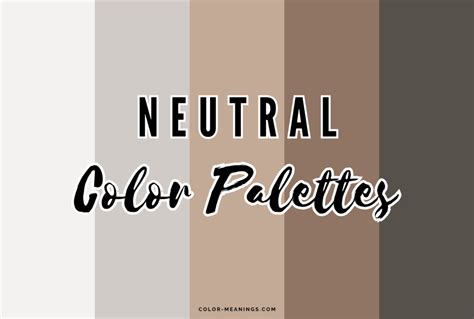 Neutral Color Palette