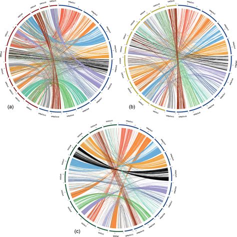 Circos Plots Showing The Macrosyntenic Relationship Of Vigna Mungo