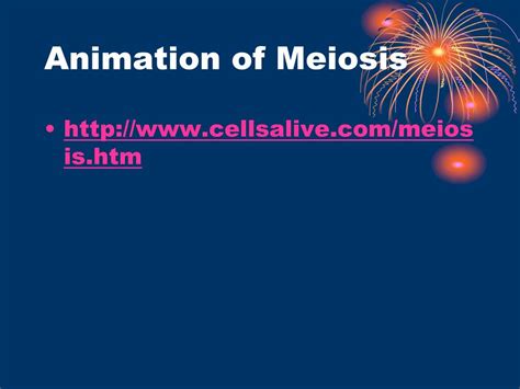 PPT - Mitosis & Meiosis PowerPoint Presentation, free download - ID:5170669