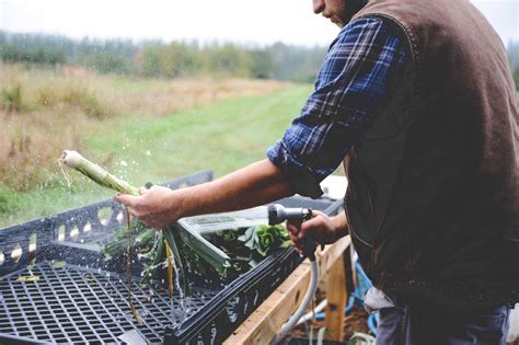 Importance of Wash and Pack Infrastructure For Food Safety