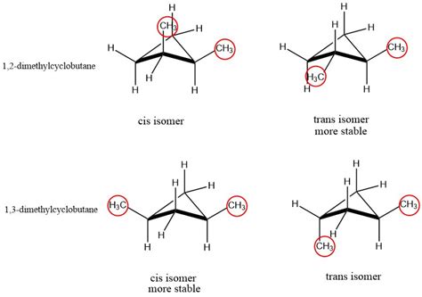 1 2 Dimethylcyclobutane