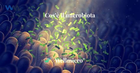 Cos è il Microbiota Intestinale Wellmicro